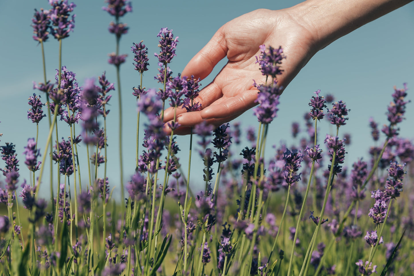 Born of Necessity: The Rise of Functional Skincare—and Why It Matters to You