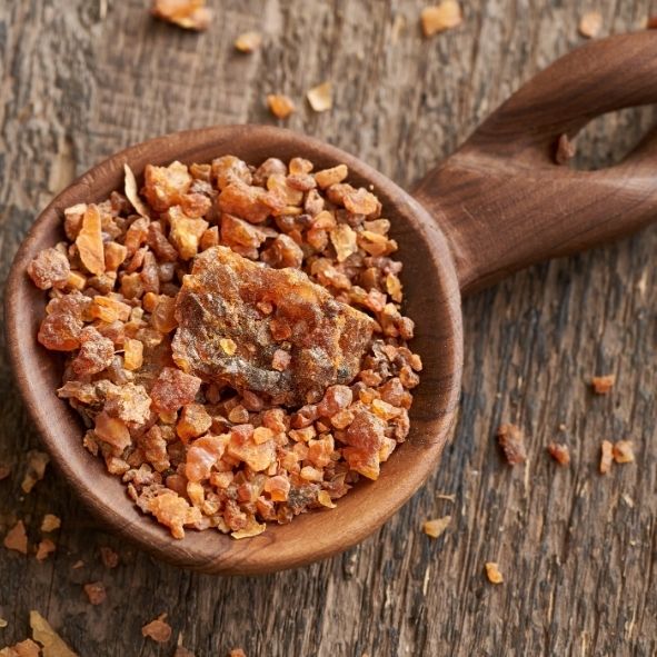 Myrrh resin, a botanical in the Renew face serum